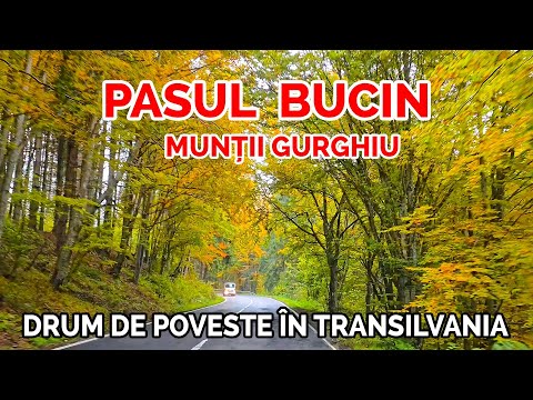 🚗 Pasul Bucin, un drum montan spectaculos cu peisaje de toamnă pitorești,  Munții Gurghiu 🌲 / DN13B