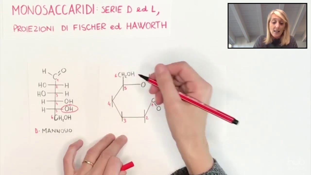 Monosaccaridi: serie D ed L, passaggio dalla proiezione di Fischer ad Haworth