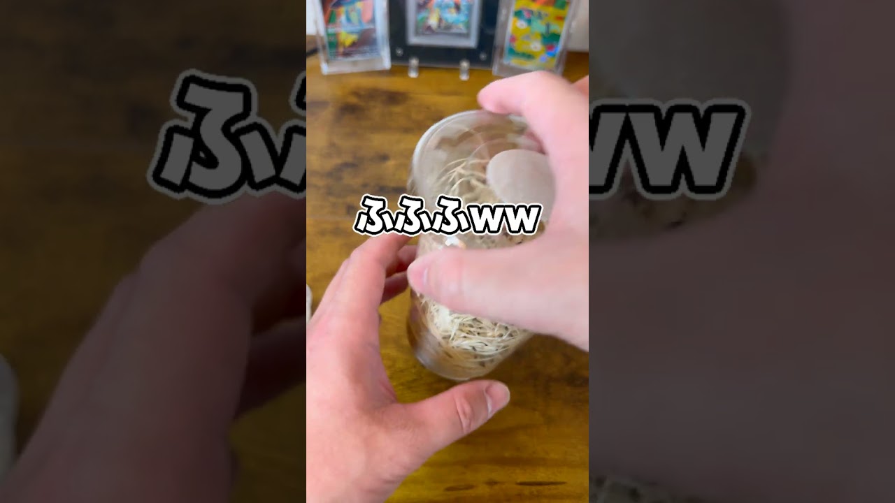 大量のコバエを購入してしまいました…