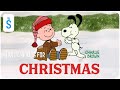 I Want A Dog For Christmas Charlie Brown 2003 Scene Rerun Has Fun Playing With Snoopy