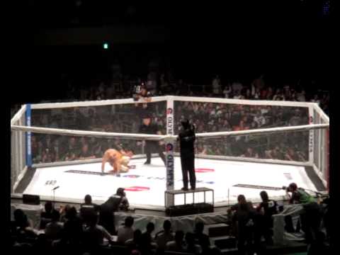 Some Highlights from Dream 12