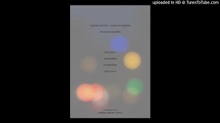 Maurizio Bianchi + Saverio Evangelista - Micrometric (2015)