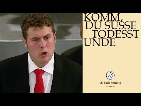 Lutz