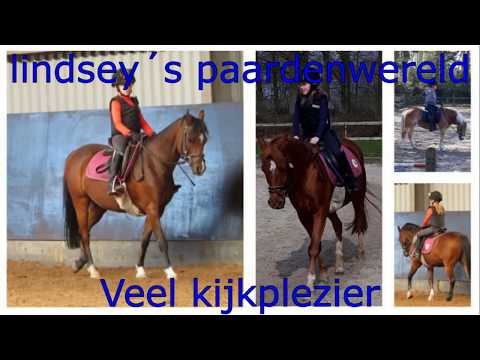 Lindsey in de les met gopro op Levi bij Holzik stables. lindsey's paardenwereld.