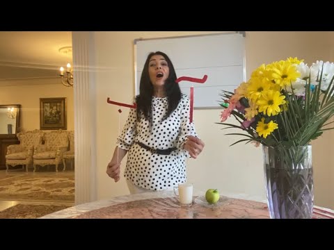 آموزش زبان فارسی درس ۱ LEARN FARSI FOR BEGINNERS (lesson 1)