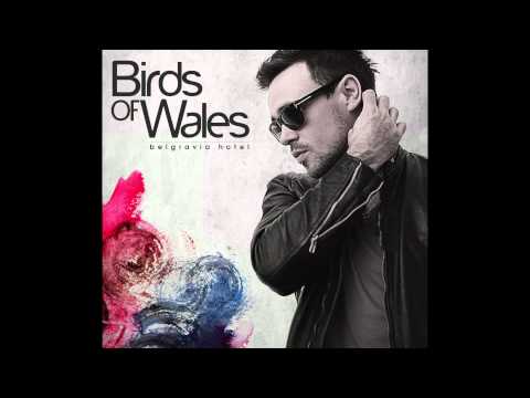 Birds of Wales - My Lady in July (Acoustic 2010) (Unreleased)