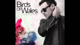 Birds of Wales - My Lady in July (Acoustic 2010) (Unreleased)
