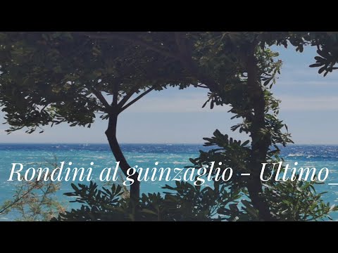 Rondini al guinzaglio (Portami con te) - Ultimo con testo