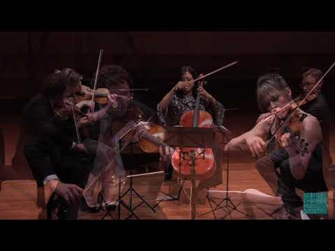 Kian Ravaei - The Little Things (2023) for string quartet