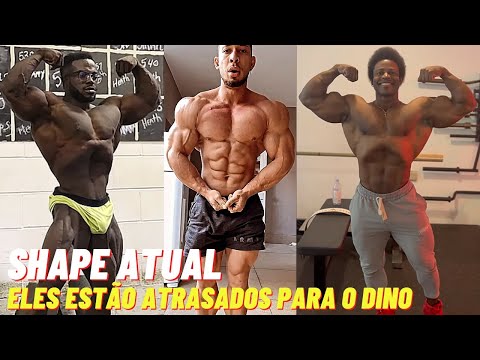 SHAPE ATUAL VS SHAPE ATUAL RAMON VS RUFFIN VS BREON