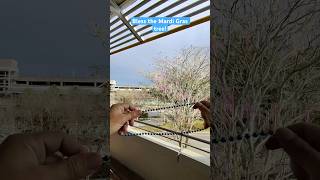 Download lagu Do you bless the #mardigras tree? #mardigras2026 #universalorlando #universalstudios #4lowphoto #fyp mp3 Download lagu Do you bless the #mardigras tree? #mardigras2026 #universalorlando #universalstudios #4lowphoto #fyp mp3