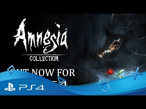 Amnesia Collection 
