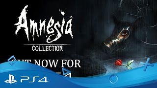 Amnesia Collection 5