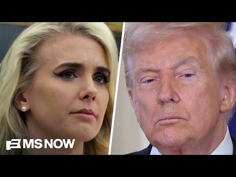 'Beyond any kind of normal relationship': Analyst calls reported letters from Harp to Trump 'creepy'