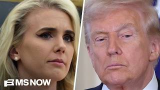 'Beyond any kind of normal relationship': Analyst calls reported letters from Harp to Trump 'creepy'