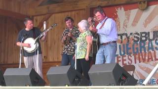 Springfield Exit " Some Old Day"