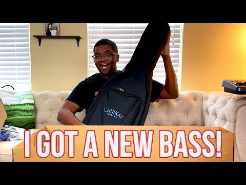 The BASS Every Bassist NEEDS | What Is That