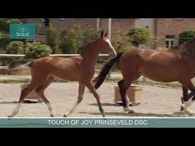 TOUCH OF JOY PRINSEVELD DSC