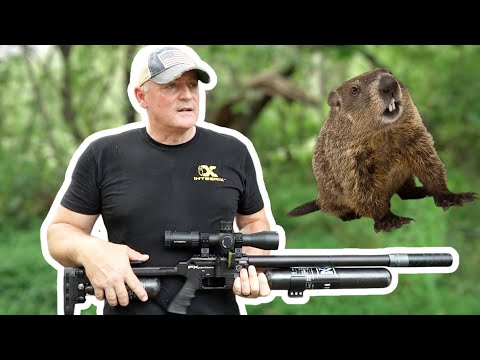 FX Panthera Hunter Compact Airgun: Airsoft field groundhog hunt #airgunhunting