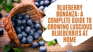 Blueberry Bonanza: A Complete Guide to Growing Luscious Blueberries at Home