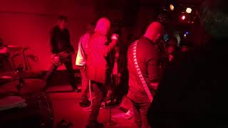 RADIO BIRDMAN at Molotow // Do the Pop