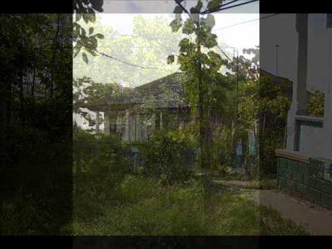 Valentin Doni - '' Pastoral Symphonic Picture ''