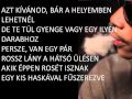 Wiz Khalifa- On my level ft. Too Short Magyar ...