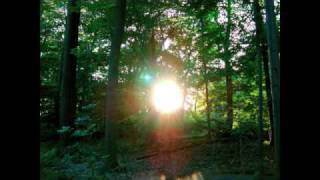 Runaway - Thriving Ivory