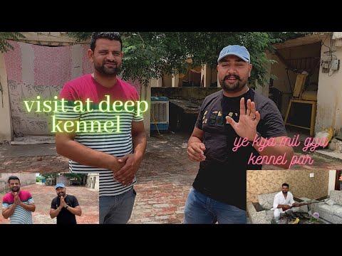 Beautiful kennel deep kennel