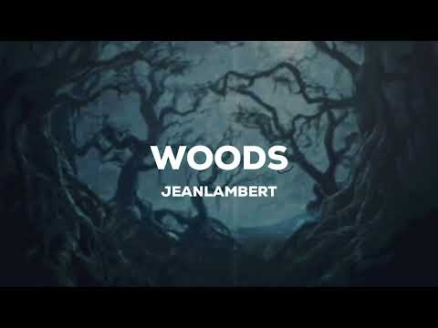 [Rap] Népal x Nekfeu x Nemir type beat "Woods" (Prod by JeanLambert)