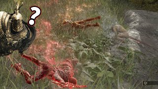 【ELDENRING】「ちょっと通りますよ」【エルデンリング】