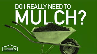 Do I Need To Mulch Around My Plants | Gardening Basics w/ William Moss