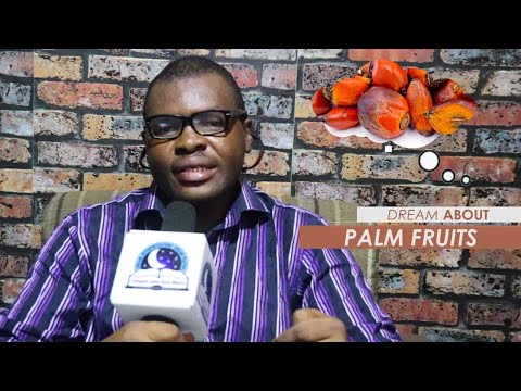 DREAM ABOUT PALM FRUITS - EvangelistJoshua.com
