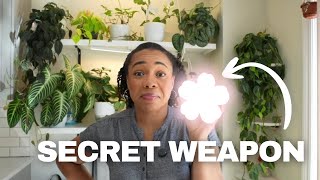 🤫My SECRET Weapon for Big, Happy Plants ALL YEAR ROUND! 🪴