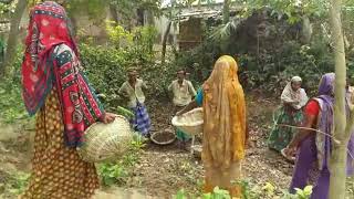 মটমুড়া ইউনিয়ন মহাম্মদপুর গ্রামের রাস্তার কাজ