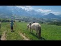 Mare Akhal Teke For sale 2021 Cremello