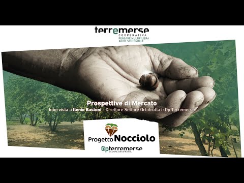 Nocciolo: prospettive di mercato con Terremerse. Intervista al Direttore  Ilenio Bastoni