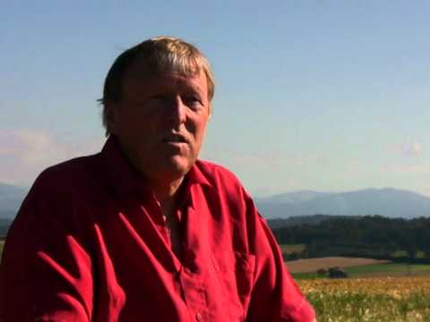 Der Laupenkrieg 1339