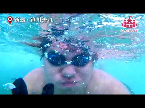 Os traemos un vídeo de la fotogénica playa blanca de Niigata "Samukawa Beach"♪