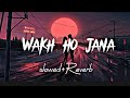 Wakh Ho Jana Slowed Reverb Viral Lofi