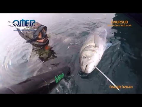 ÖNDER.ÖZKAN -SEABASS