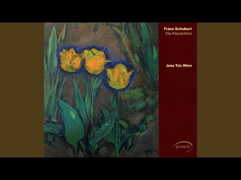 Piano Trio in B-Flat Major, D. 28