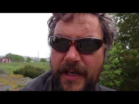 SEGELN: Ankunft in Haapasaari (FIN)