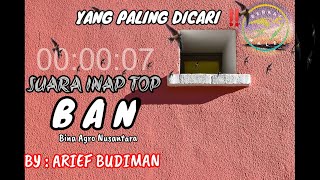 Download lagu SUARA INAP BURUNG WALET‼️ YANG PALING DICARI ‼️ SUARA INAP TOP BAN By ARIEF BUDIMAN ‼️ mp3 Download lagu SUARA INAP BURUNG WALET‼️ YANG PALING DICARI ‼️ SUARA INAP TOP BAN By ARIEF BUDIMAN ‼️ mp3
