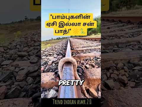 பாம்புகள் ஏன் ரயில் தண்டவாளத்தில் கிடக்கின்றன தெரியுமா? 🐍😱 Surprising Snake Science! 🚂☀️ #Shorts