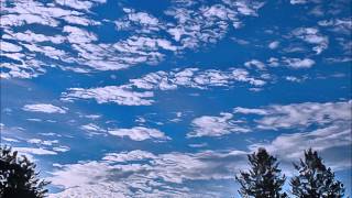 Brandi Carlisle - &quot;Beginning to Feel the Years&quot;