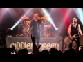 FIDDLER'S GREEN - YINDY (Official Live Video ...