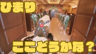 【フレブルvlog】愛犬と結婚式がしたい！💒