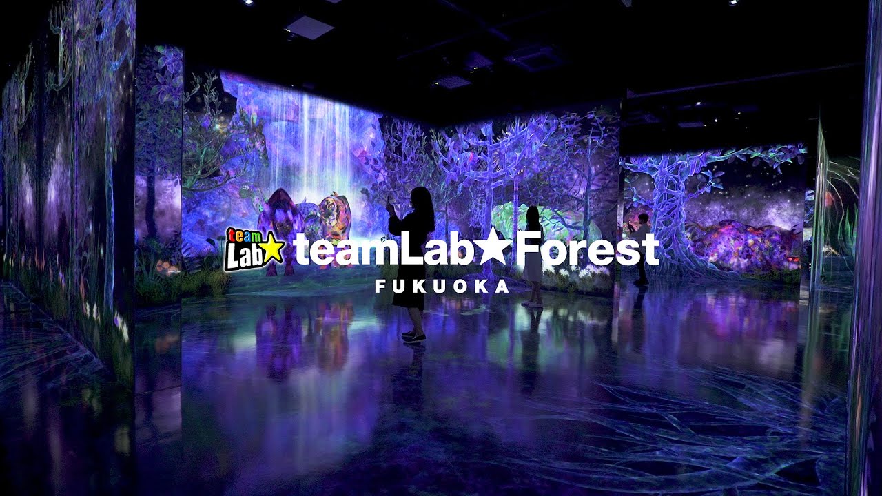 Discover the cinematic highlights of TeamLab Forest.
