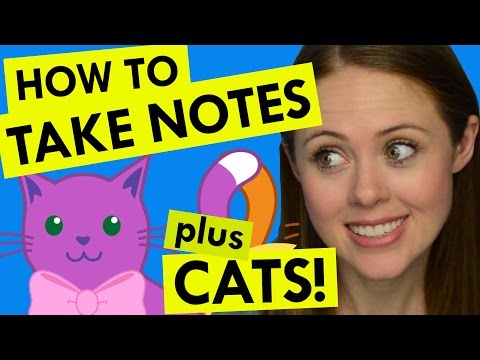 How to Take Notes!  Prepping for Finals Part 1